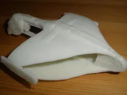 Romulan warbird