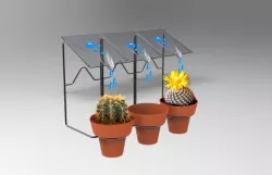 Self watering plant on pots