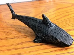 Shark