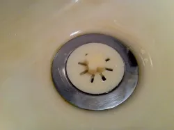 Sink Drain Screen #1