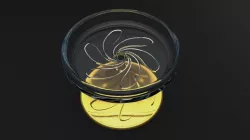 Sweets Dish