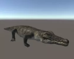 Unity Crocodile Low-poly  3D model