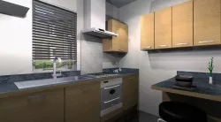 Various Kitchen Designs