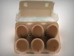 AN EGGCUP SIX FRAM EGGS