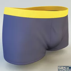 Boxer briefs 3D model