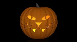 Cat Pumpkin Carving