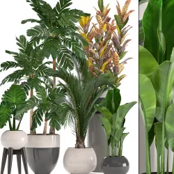 Collection of ornamental plants in pots 3D model