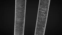 Damaged hair cuticle layer and Healthy hair cuticle layer 3D model