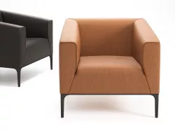 DS 161 01 Armchair 3D model
