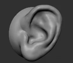 Ear v2 3D model