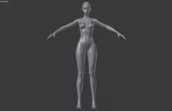 Female base body 3D model