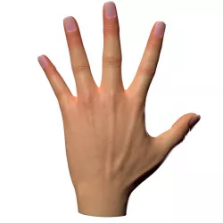 Female Hand Low-poly  3D model