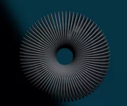Garter Spring 
