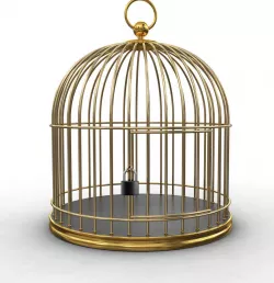 Golden Cage 3D model 3D model