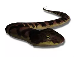 Low poly grass-snake Low-poly  3D model