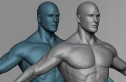 Male 3D Basemesh Model Low-poly  3D model