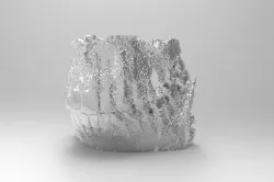 Metallic Jaw