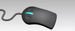 mouse