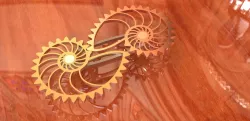 Nautilus Gears