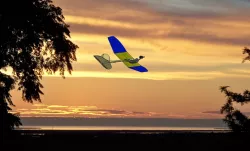 Park Stepp model aircraft