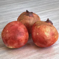 pomegrante 3D model