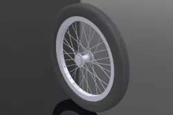 Rin de bicicleta