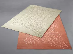 Shazia Rug 3D model