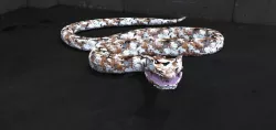 Snake