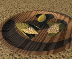 sun baking colorful corn grains with wooden plate burnt soil 3D model