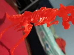T Rex