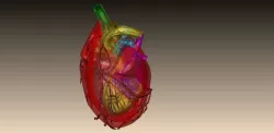 human solidworks 3D Models | Page 1 | STLFinder
