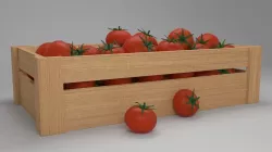 tomato 3D model