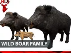 Wild boar family Low-poly  3D model