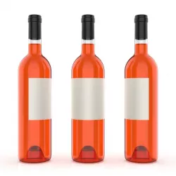 Wine bottle 3D model