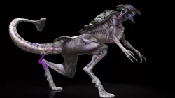 xmorpheus 3D model