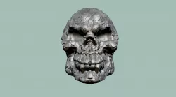 alien skull 3D print model