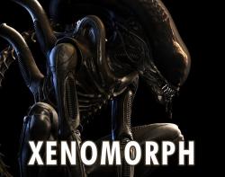 alien xenomorph big chap 3d models 【 STLFinder