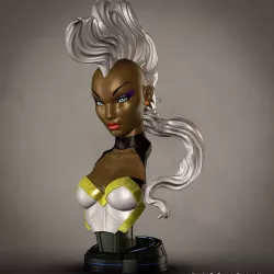 Campbells Storm  3D print model