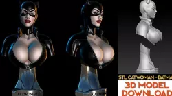 Catwoman from Batman Bust STL-OBJ 3D model  Fanart version 3D print model