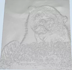 Confession Bear Lithophane Free 3D print model