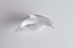 Dolphin Free 3D print model