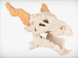 Dragon Skull