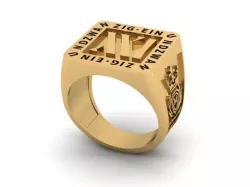 einundzwanzig  21 ring 3D print model