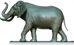 Elephant 3D Printing  3D print model