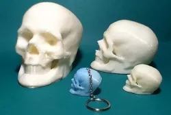 Elvis Skull Resurrected Free 3D print model