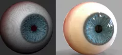EYEBALL MODEL FOR TOYS 3D print model