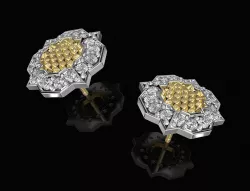 fancy earrings with texture 3D print model