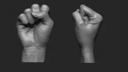 Female Fist Printable 3D print model