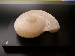 Giant snail shell Free 3D print model