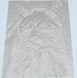 Grumpy Cat Lithophane Free 3D print model